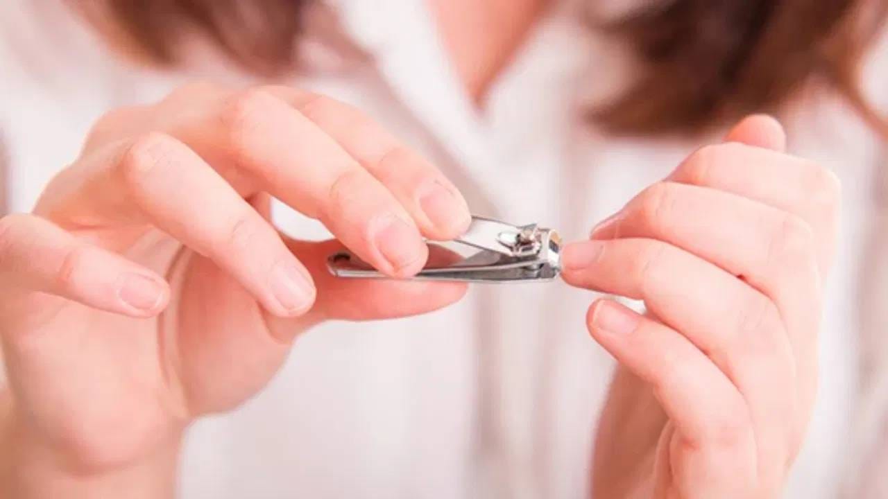 मंगळवारी हे काम बिलकूल करू नका, अडचणी वाढल्याच म्हणून समजा.. मंगळवारी हे काम बिलकूल करू नका, अडचणी वाढल्याच म्हणून समजा..