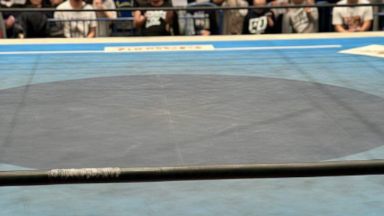 प्राप्ती सुरेश विघ्ने असे मृत्यू झालेल्या कुस्तीपटू तरूणीचे नाव आहे. मिळालेल्या माहितीनुसार ही तरुणी राज्यस्तरापर्यंतची कुस्ती स्पर्धा खेळलेली होती.