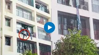 Walmik Karad : बीडमध्ये झळकले वाल्मिक कराडचे फोटो असलेले बॅनर
