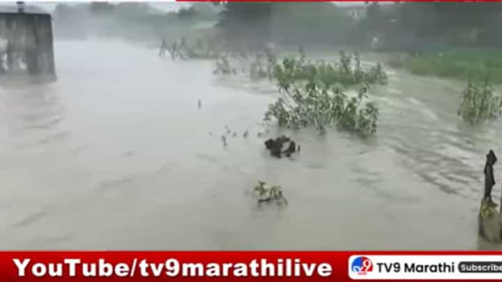 Assam Flood : आसाममध्ये पुराचा हाहाकार! 28 जणांनी गमावला जीव, लाखो नागरिकांनी घर सोडलं Assam Flood : आसाममध्ये पुराचा हाहाकार! 28 जणांनी गमावला जीव, लाखो नागरिकांनी घर सोडलं