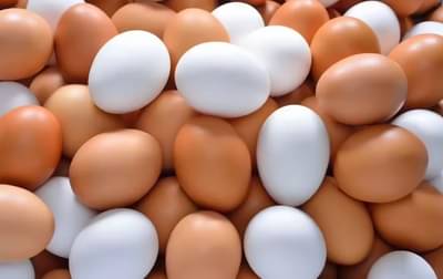 Eggs Price Hike : आषाढातच अंडे महाग; श्रावणात गगनाला भिडणार भाव? 12 अंड्यांसाठी मोजा इतके रुपये