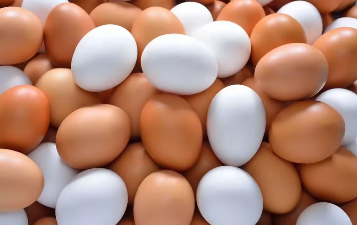 Eggs Price Hike : आषाढातच अंडे महाग; श्रावणात गगनाला भिडणार भाव? 12 अंड्यांसाठी मोजा इतके रुपये