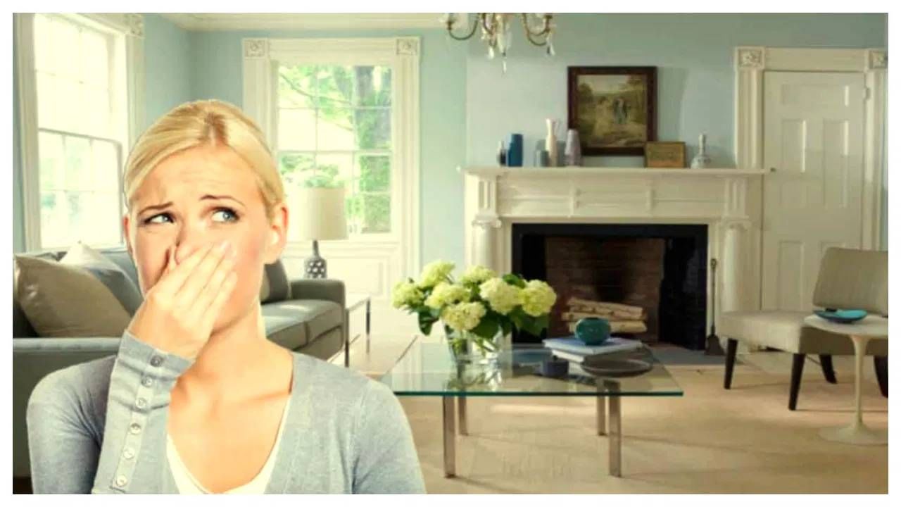 पावसाळ्यात घरातून येतेय ओलसरपणाची दुर्गंधी? या सोप्या टिप्स तुमच्यासाठी ठरतील उपयोगी!