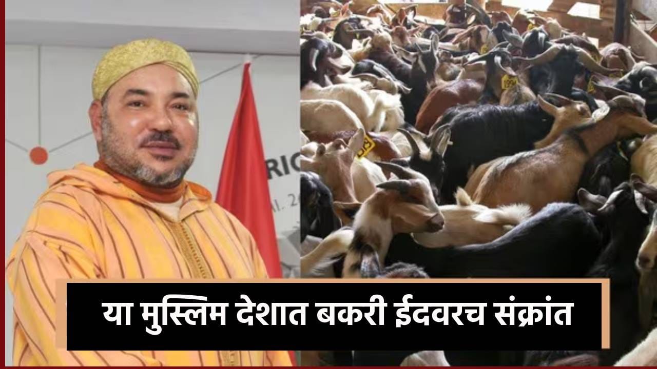Bakri Eid 2025 : या मुस्लिम देशात बकरी ईदवरच संक्रांत, त्या एका निर्णयाने नागरिकांमध्ये एकच खळबळ, बकऱ्यांच्या कुर्बानीबाबत... Bakri Eid 2025 : या मुस्लिम देशात बकरी ईदवरच संक्रांत, त्या एका निर्णयाने नागरिकांमध्ये एकच खळबळ, बकऱ्यांच्या कुर्बानीबाबत...