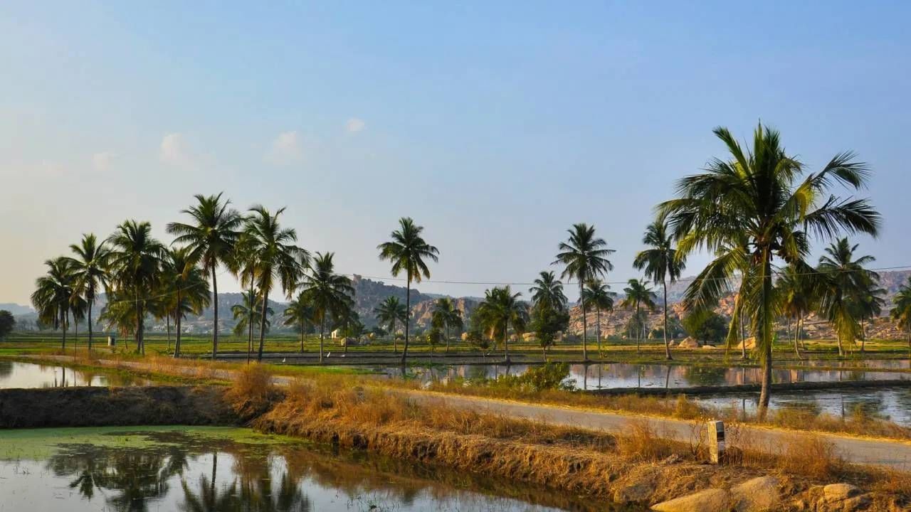 बंगळुरूपासून 100 किमी अंतरावर आहेत ही सुंदर ठिकाणे, भेट देण्यासाठी आहे सर्वोत्तम बंगळुरूपासून 100 किमी अंतरावर आहेत ही सुंदर ठिकाणे, भेट देण्यासाठी आहे सर्वोत्तम