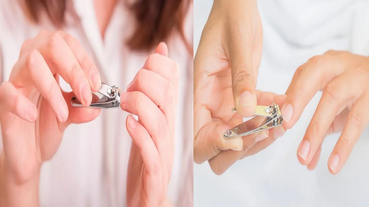 आठवड्यातील या खास दिवशी नखे कापा, धनलाभाचे मार्ग होतील मोकळे आठवड्यातील या खास दिवशी नखे कापा, धनलाभाचे मार्ग होतील मोकळे