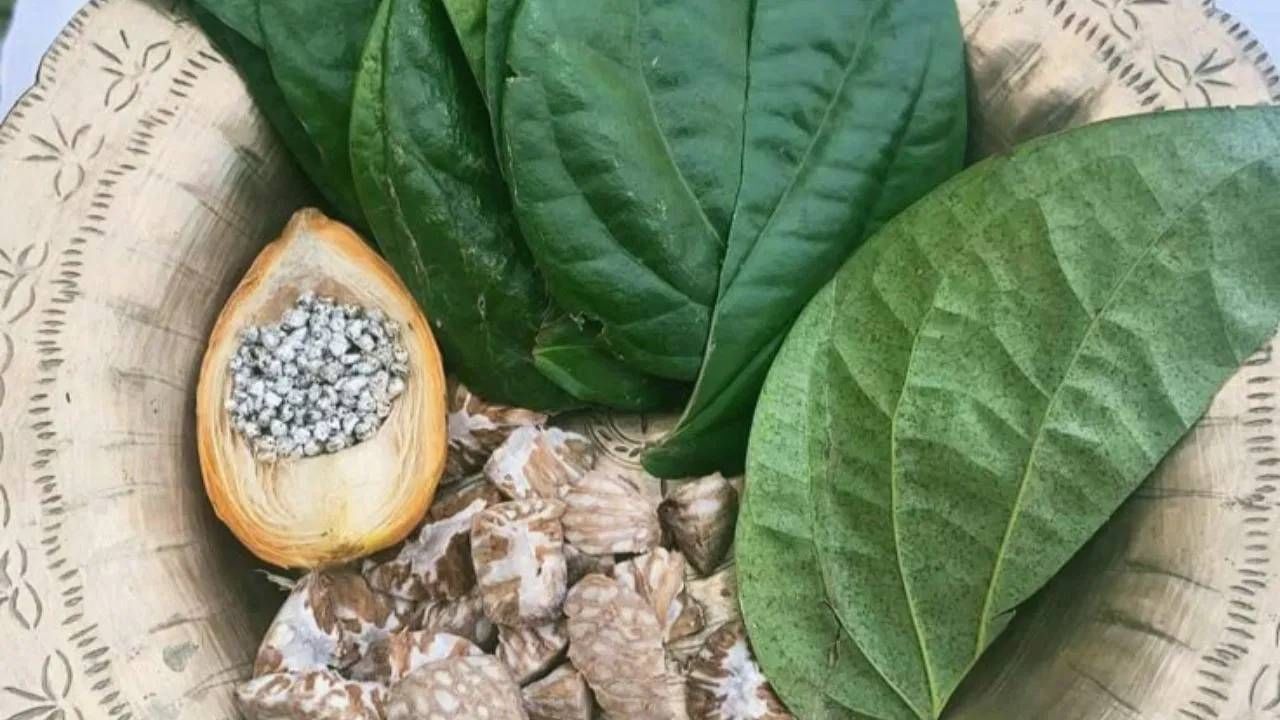 धार्मिक मान्यतेनुसार, तुळशीमातेला पान आणि सुपारी अर्पण केल्याने भक्तांच्या इच्छा पूर्ण होतात. देव प्रसन्न होतात आणि भक्तांच्या सर्व अडचणी स्वतः दूर करतात. पान आणि सुपारी हे दोन्ही संपत्ती आणि समृद्धीशी संबंधित मानले जातात. 