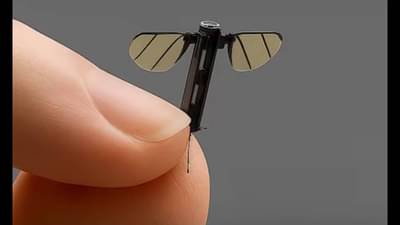 चीनने तयार केला मायक्रो ड्रोन, ड्रोनमध्ये कॅमेरा, सेन्सर आणि कंट्रोल सिस्टिम