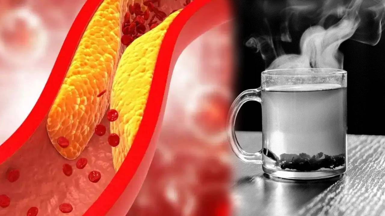 Cholesterol: कोलेस्ट्रॉलची 'ही' लक्षणे जाणवतायेत? गोळ्या न घेता घरच्या घरी करा रामबाण उपाय