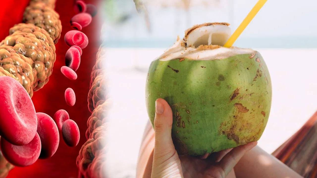 उन्हाळ्यात नारळ पाणी पिणे खूप फायदेशीर आहे. त्यात अनेक पोषक तत्वे असतात. त्यात कॅल्शियम, पोटॅशियम, सोडियम, मॅग्नेशियम, फोलेट, झिंक, फॉस्फरस, व्हिटॅमिन सी, व्हिटॅमिन बी-कॉम्प्लेक्स, अमीनो अॅसिड, फायबर, कॅल्शियम, लोह आणि अँटीऑक्सिडंट्स असतात.