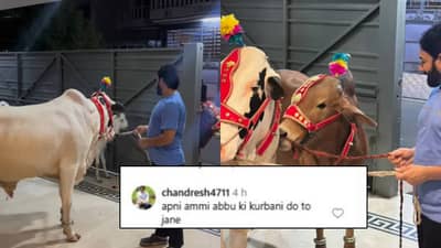 अपने अम्मी-अब्बू की कुर्बानी दो...; पाकिस्तानी क्रिकेटपटूने ईदला दिली बैलाची कुर्बानी, नेटकरी संतापले