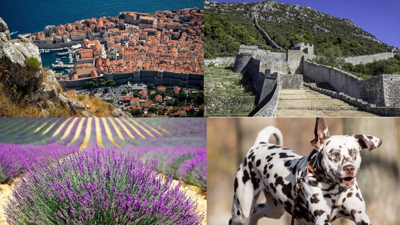 चीनसारखी ग्रेट वॉल, 1000 बेटं अन् डाल्मेटियन डॉग, क्रोएशियाच्या 10 खास गोष्टी जाणून घ्या