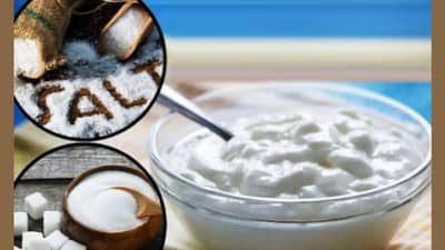 दही, मीठ टाकून खावे की साखर घालून? 99 टक्के लोकांना कुठे माहितीये उत्तर?