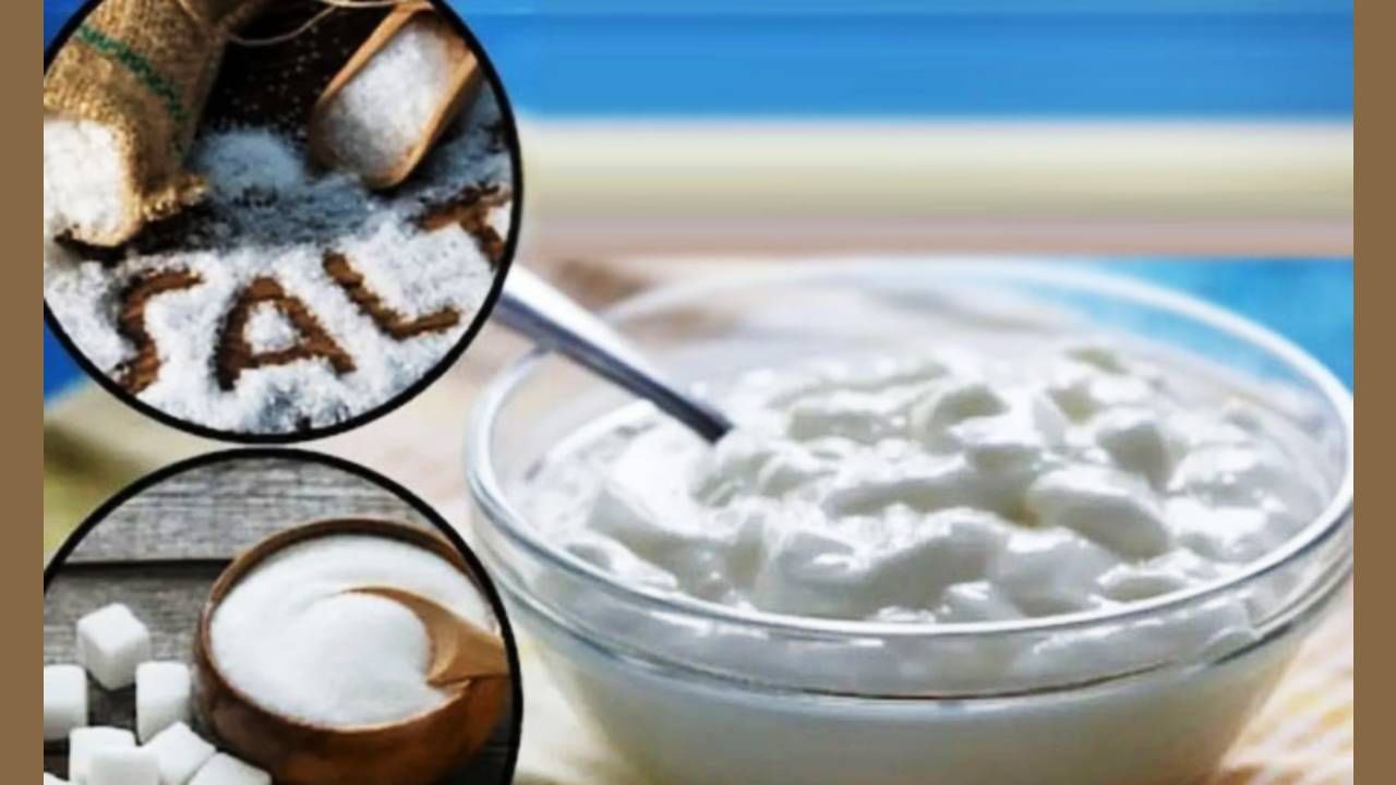 दही, मीठ टाकून खावे की साखर घालून? 99 टक्के लोकांना कुठे माहितीये उत्तर? दही, मीठ टाकून खावे की साखर घालून? 99 टक्के लोकांना कुठे माहितीये उत्तर?