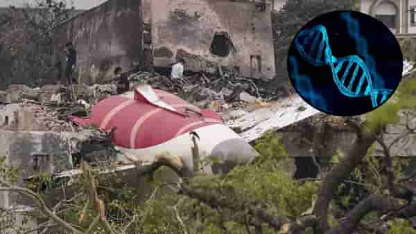 Ahmedabad Plane Crash : अहमदाबाद विमान दुर्घटनेबाबत मोठी बातमी, आतापर्यंत इतके मृतदेह….