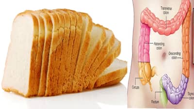 सतत ब्रेड खाल्ल्याने कॅन्सर होतो? तुम्ही पण करतायत तिच चूक? तज्ज्ञ काय सांगतात?