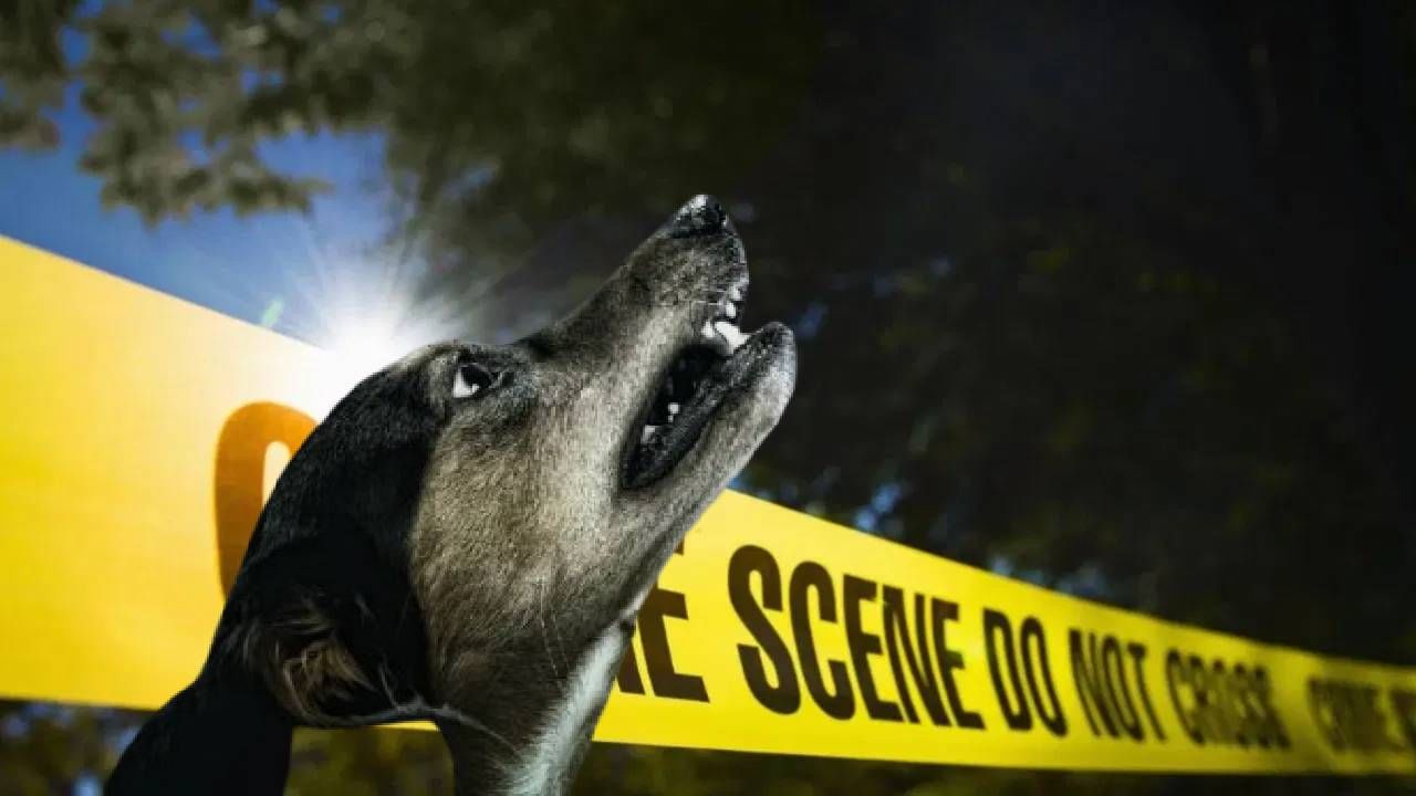 कुत्र्याचे डोके कापले, भगवान शंकरासमोर ठेवले! चार दिवस घरात... पोलिसांचाही थरकाप उडला