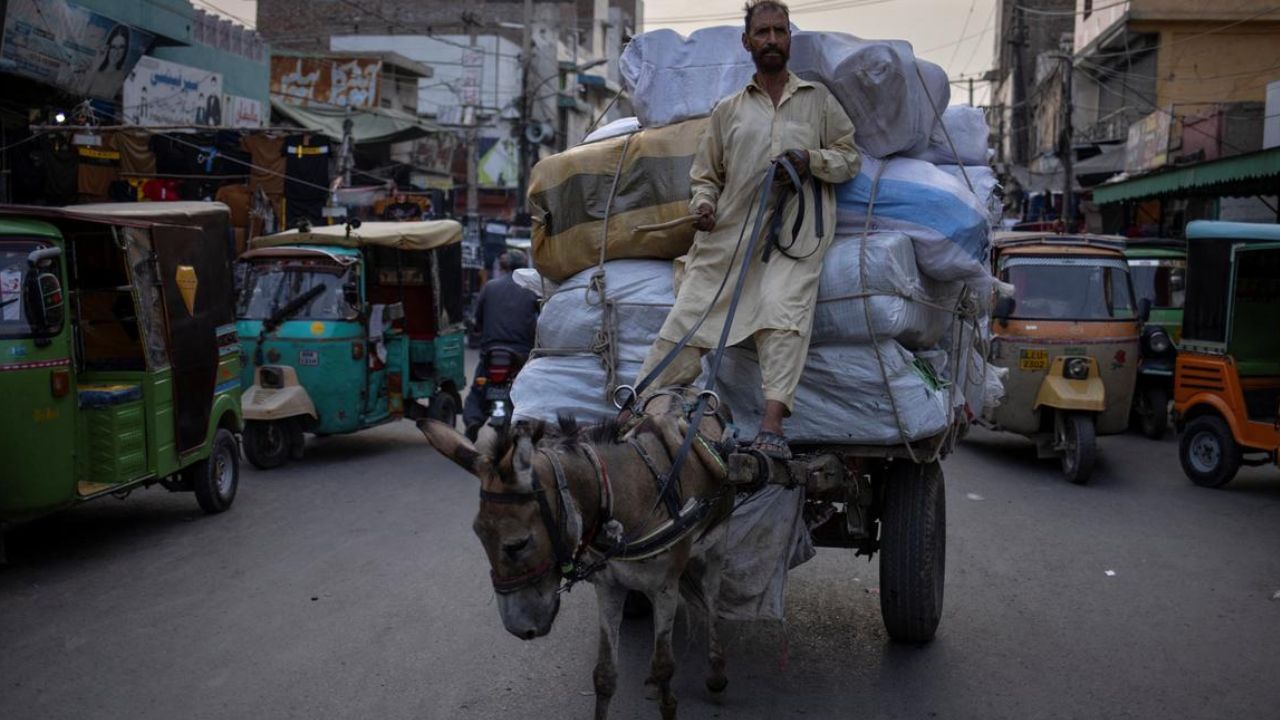 पाकिस्तानसाठी गाढव सोन्याचे अंडे देणारी कोंबडी, या देशाला विकून करतोय घसघशीत कमाई
