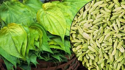 विडाच्या पानांसोबत बडीशेप खाल्ल्यास आरोग्याला मिळतील हे आश्चर्यकारक फायदे