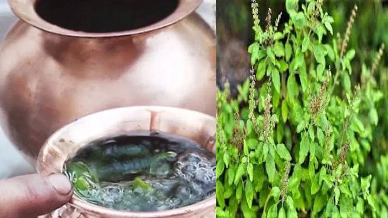 धार्मिक दृष्टिकोनातून तुळशीला खूप महत्त्व आहे. असे म्हटले जाते की तुळशीचा संबंध नेहमीच विष्णूशी असतो.मृत्युच्या वेळी तुळशीची पाने तोंडात ठेवल्याने आत्मा पवित्र होतो अशी मान्यता आहे. तसेच मृत व्यक्तीला मोक्ष मिळतो अशी धारणा आहे.