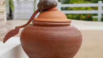 मडक्यातून चिखलाचा वास येतोय का? तुमच्या आरोग्यासाठी ठरेल धोक्याचं...