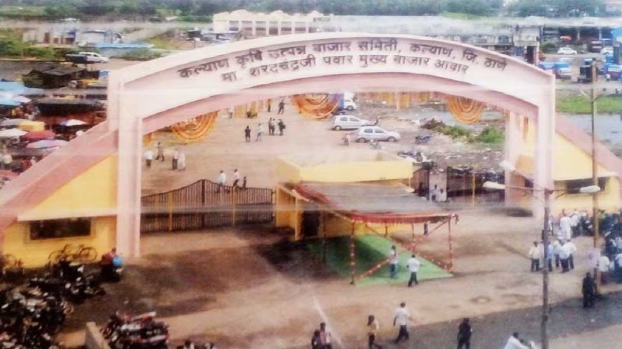 कल्याणमध्ये 17 जागांसाठी आर-पारची लढाई, आमदार-खासदारही प्रचारात, महायुती की महाविकासआघाडी कोण उधळणार गुलाल? कल्याणमध्ये 17 जागांसाठी आर-पारची लढाई, आमदार-खासदारही प्रचारात, महायुती की महाविकासआघाडी कोण उधळणार गुलाल?