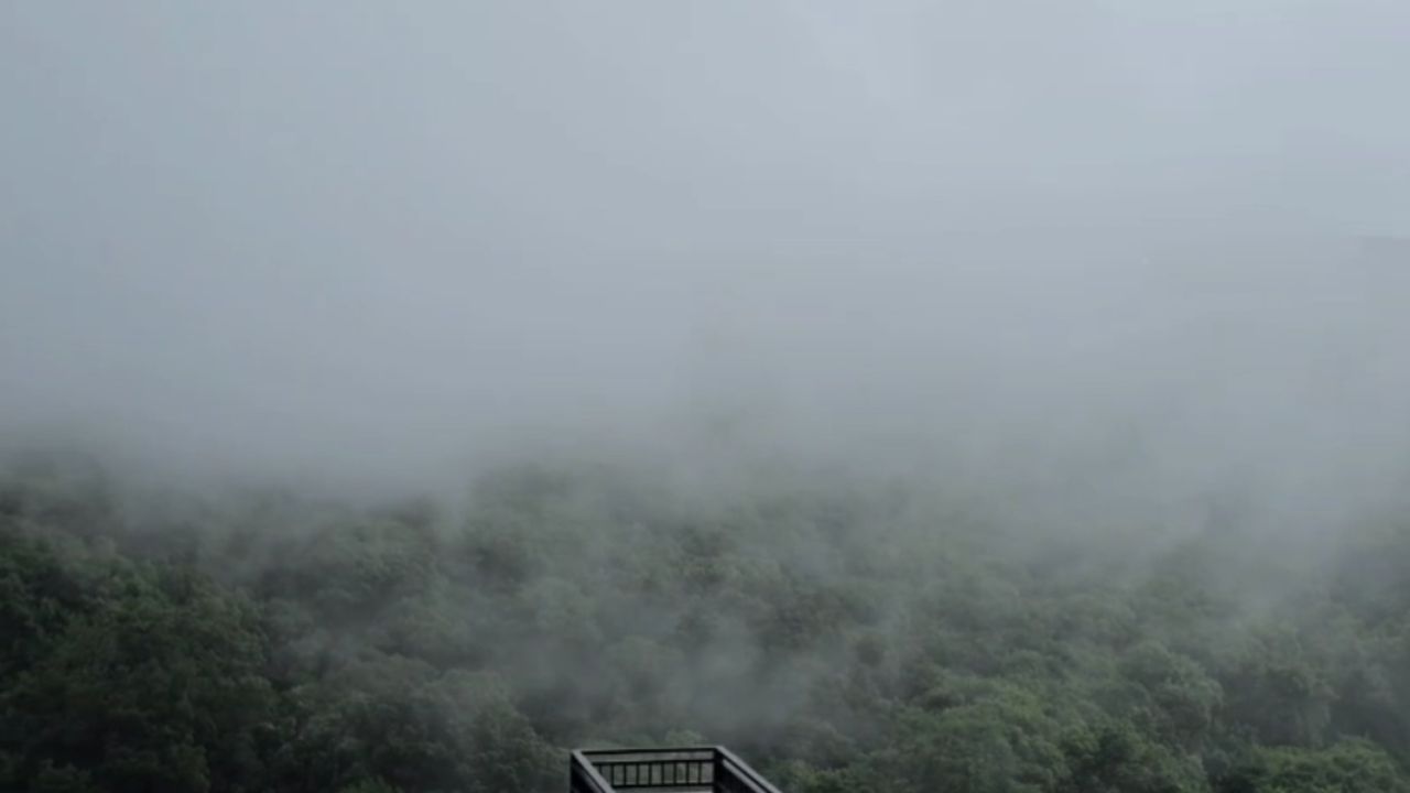 महाराष्ट्रातील प्रसिद्ध हिल स्टेशनबाबच चर्चा होत असताना सर्वात प्रथम महाबळेश्वरचे नाव येते. या भागात असलेली घनदाट जंगले आहे. समुद्रसपाटीपासून उंचीवर बसलेले अनेक पॉईंट्स आहेत. हे पॉईंट्स एक विलोभनीय दृश्य देतात.