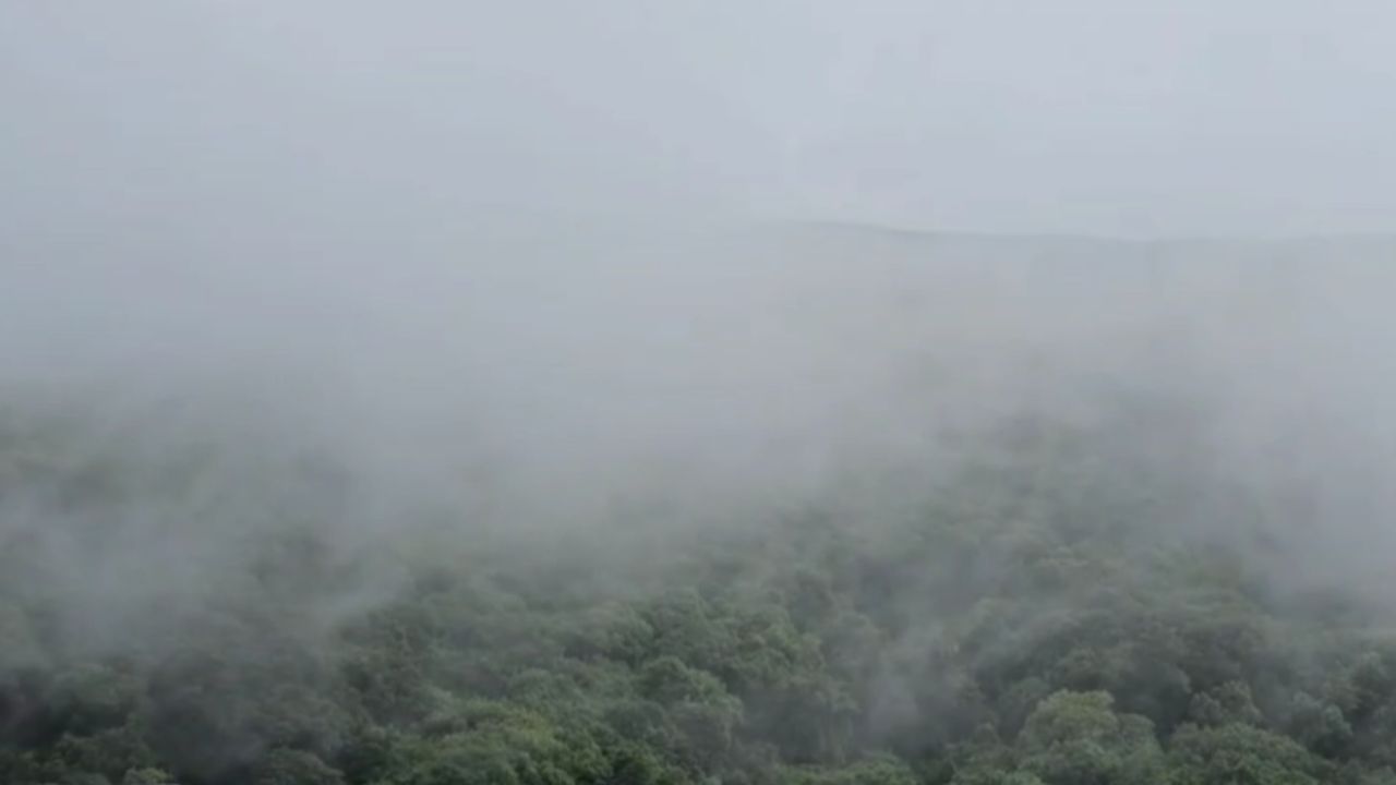 राज्यात मे महिन्यात जोरदार पाऊस झाला. महाबळेश्वरमध्ये देखील दमदार पाऊस पडला होता. त्यामुळे परिसर हिरवेगार झाला आहे. श्रावण महिन्यासारखा अनुभव पर्यटकांना येत आहे. सध्या महाबळेश्वरमधील अनेक पाईंटवर धुक्याची चादर दिसत आहे.