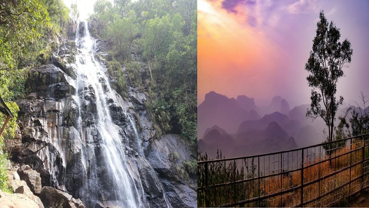 भोपाळपासून फक्त 200 किमी अंतरावर असलेल्या 'या' हिल स्टेशनला द्या भेट, पर्यटकांची आहे पहिली पसंती भोपाळपासून फक्त 200 किमी अंतरावर असलेल्या 'या' हिल स्टेशनला द्या भेट, पर्यटकांची आहे पहिली पसंती