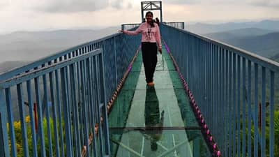 भारतात असलेले हे 4 काचेचे पूल करा एक्सप्लोर, तुम्ही परदेशी ठिकाणे जाल विसरून