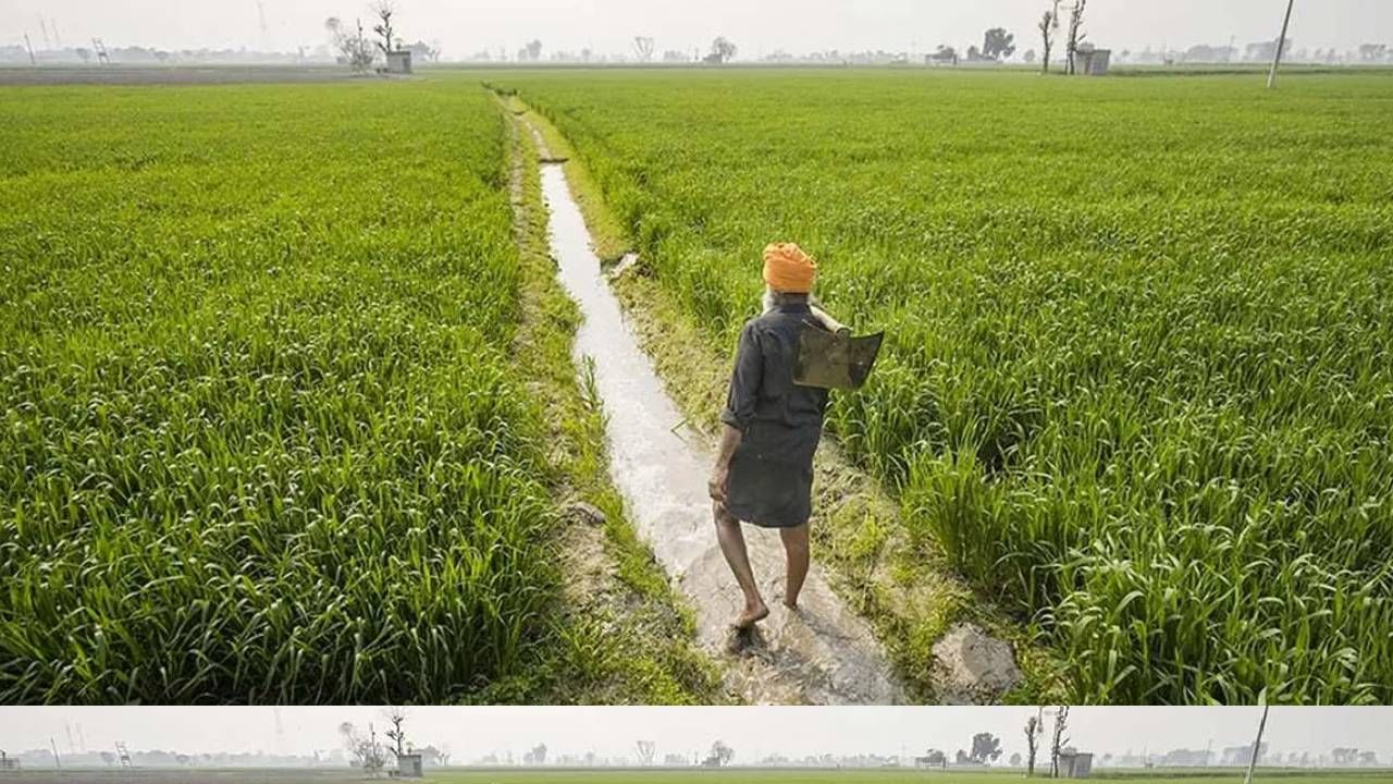  pmkisan.gov.in या वेबसाईटवर जा. शेतकरी कॉर्नर या पर्यायावर जा. लाभार्थ्यांच्या यादीवर जा. तुमचा आधार क्रमाक, खाते क्रमांक नोंदवा. "Get Data" वर क्लिक करा. पेमेंट स्टेट्स चेक करा.