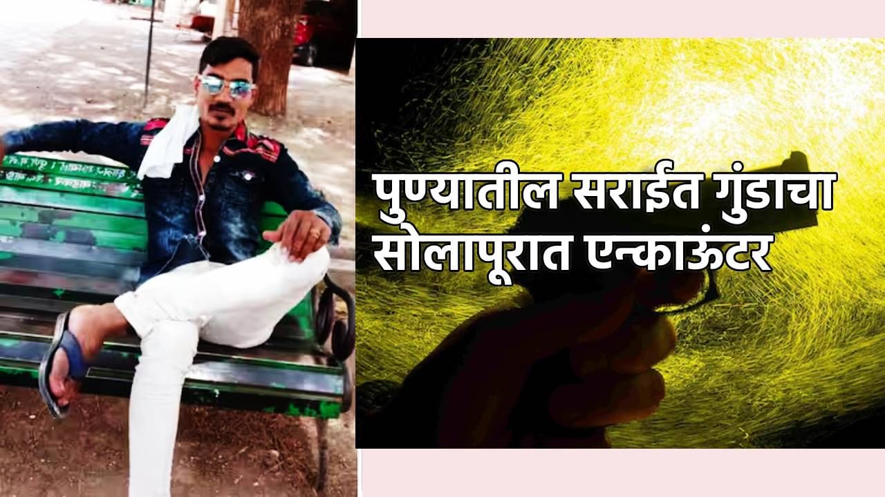 Shahrukh Encounter : मोठी बातमी, पुण्यातील सराईत गुंडाचा सोलापूरात खात्मा, शाहरूख एन्काऊंटरमध्ये ठार