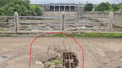 पुण्यातील कुंडमळा दुर्घटनेतील पुलाप्रमाणे भीमा नदीवरील पूल धोकादायक, पुलाला मोठे भगदाड असतानाही पर्यटकांची होते गर्दी