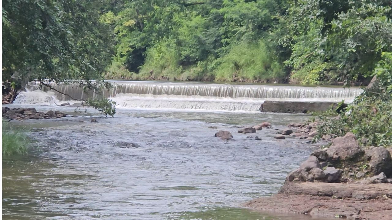 जळगावच्या चाळीसगाव तालुक्यातील पाटणादेवी परिसर सध्या पावसाळ्याच्या आगमनानंतर निसर्गसौंदर्याने नटला आहे. सध्या सुरू असलेल्या संततधारेमुळे येथे फेसाळणारे धबधबे, हिरवाईने बहरलेल्या डोंगररांगा आणि धुक्याची नाजूक चादर निसर्गप्रेमींना वेड लावत आहे. 