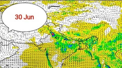 कोकण, मध्य महाराष्ट्रात मुसळधार, विदर्भ-मराठवाड्यात काय असणार परिस्थिती?