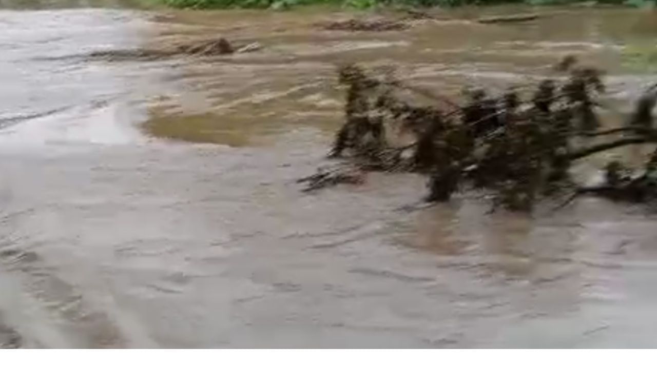 मुंबईत रिमझिम, कोकणला रेड अलर्ट, राज्यात पावसाचा जोर कायम राहणार मुंबईत रिमझिम, कोकणला रेड अलर्ट, राज्यात पावसाचा जोर कायम राहणार