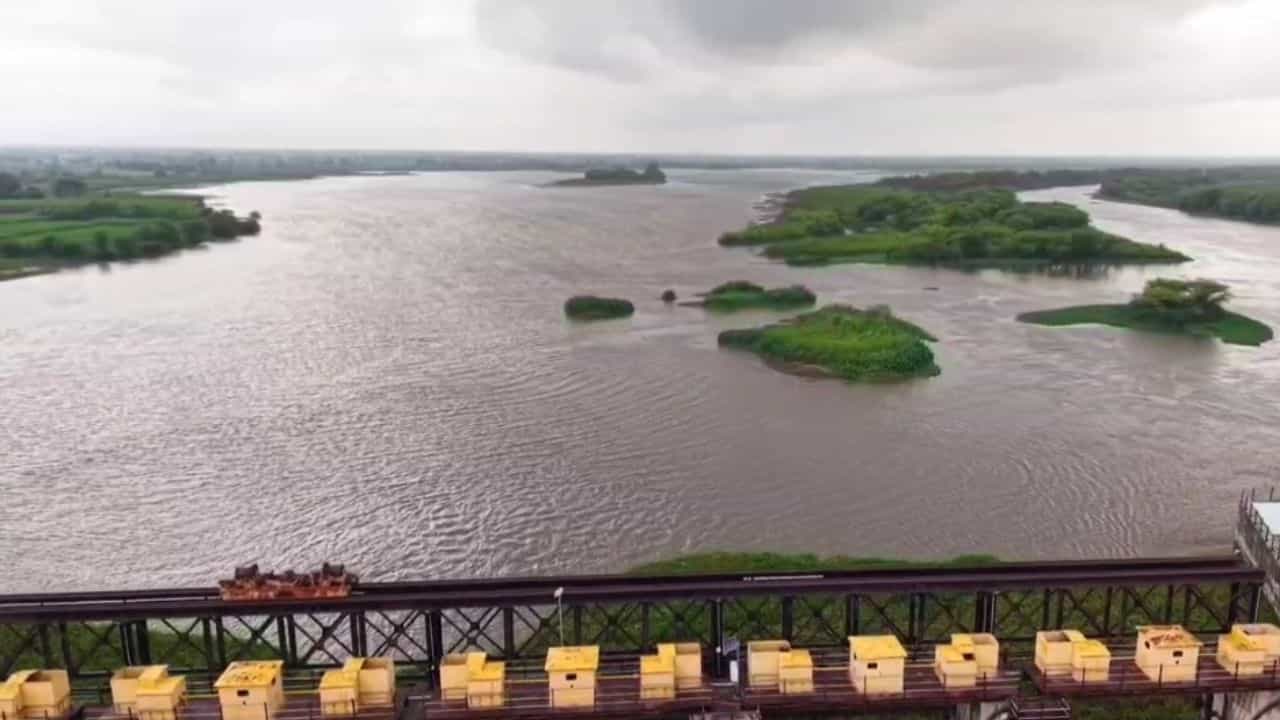 नाशिकच्या निफाड तालुक्यात ब्रिटिश कालीन नांदूर मधमेश्वर धरण आहे. 1916 मध्ये हे धरण बांधले गेले. या धरणाच्या इतिहासात प्रथमच जून महिन्यात 12.53 टीएमसी पाणी विसर्ग केला आहे. जायकवाडीच्या दिशेने गोदावरी नदीतून पाण्याचा विसर्ग करण्यात आला आहे.