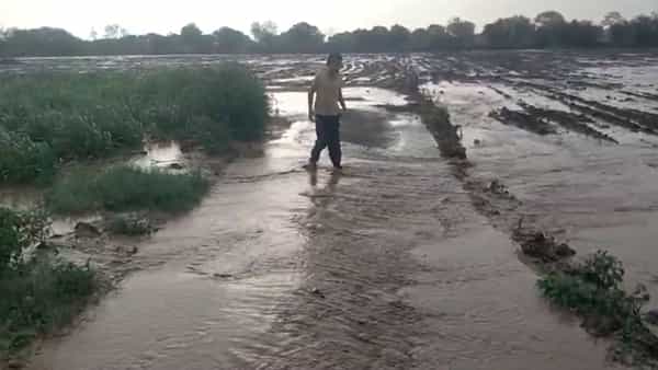 छत्रपती संभाजीनगरमधील वैजापूर तालुक्यात मुसळधार पाऊस झाला. तालुक्यातील जमनवाडी शिवारात ढगफुटी सदृश्य पाऊस झाल्यामुळे सर्वत्र पाणीच पाणी झाले. या पावसामुळे मोठ्या प्रमाणावर नुकसान झाले आहे.