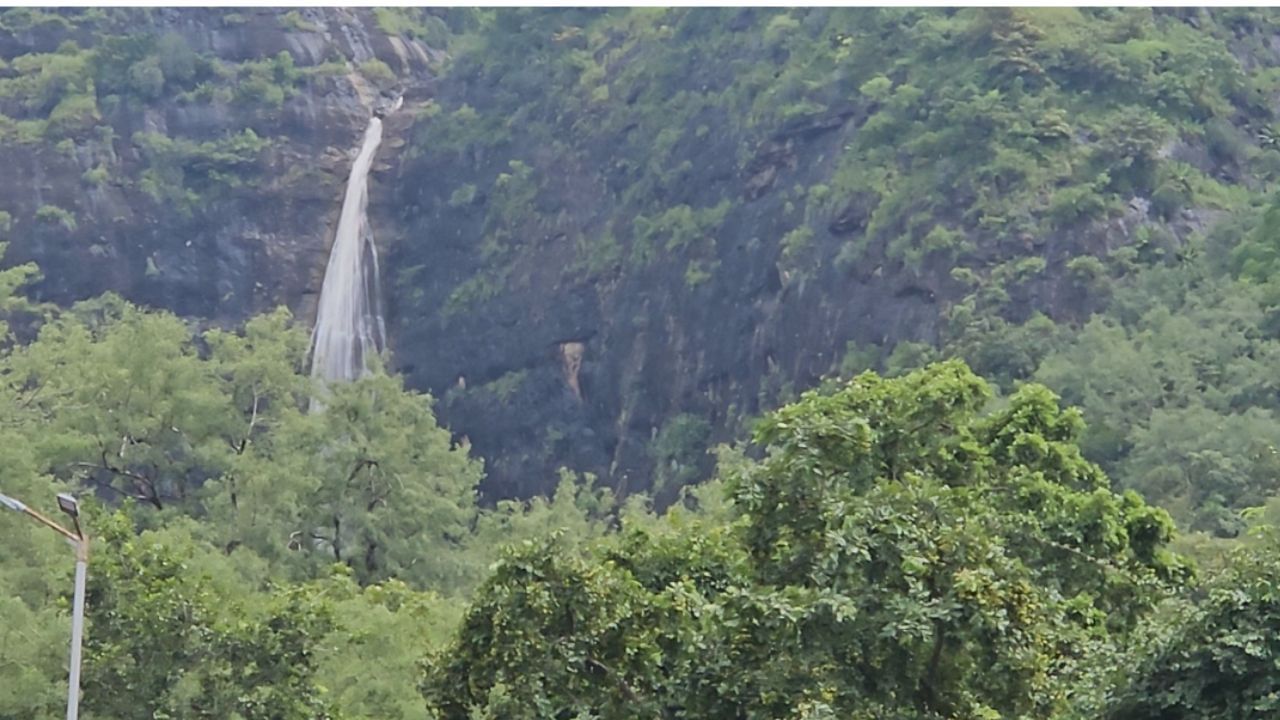 पाटणादेवी येथील सृष्टीसौंदर्याचा आनंद घेण्यासाठी पर्यटक मोठ्या प्रमाणावर येथे भेट देत आहेत. हिरव्यागार वृक्षराजी, गवताळ पठारे आणि वाऱ्यावर झुलणारी झाडे पाहताना डोळ्यांचे पारणे फिटते. 