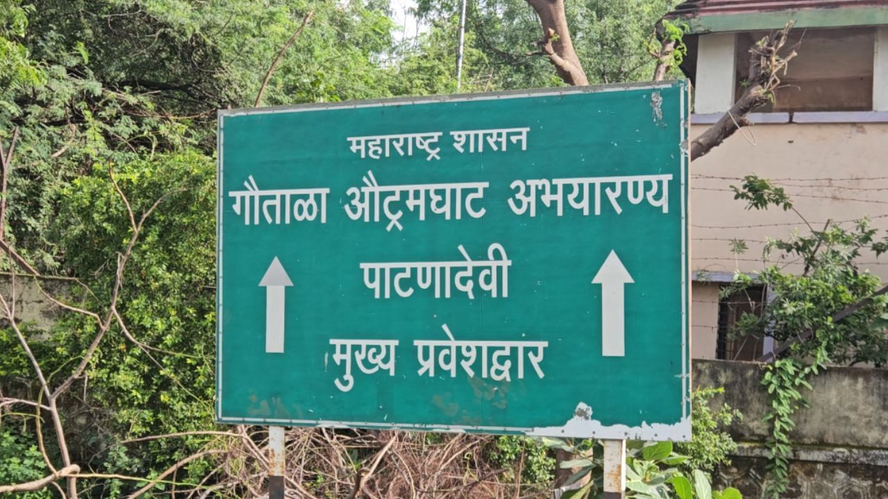 धार्मिक, ऐतिहासिक आणि नैसर्गिक अशा तिहेरी संगमामुळे हा परिसर संपूर्ण वर्षभर पर्यटकांचे आकर्षण ठरत असतो. परंतु पावसाळ्यात पाटणादेवी परिसराचे सौंदर्य हे अधिकच खुलत असते.