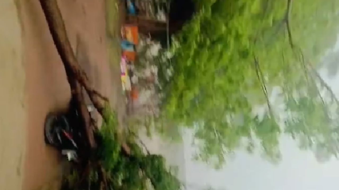 वैजापूर तालुक्याच्या ग्रामीण भागात मुसळधार पाऊस झाला. या पावसामुळे बळीराजा सुखावला आहे. तालुक्यात आता पेरणीला वेग येण्याची शक्यता आहे.