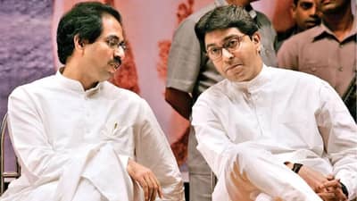 दोन्ही ठाकरे एकत्र आले तर ताकद किती वाढणार? कुणाला किती टक्के मते मिळालेली आहेत? वाचा...