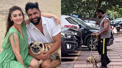 Video: शेफाली जरीवालाच्या मृत्यूनंतर पतीचे विचित्र वर्तन, कुत्र्यासोबत फिरताना दिसला