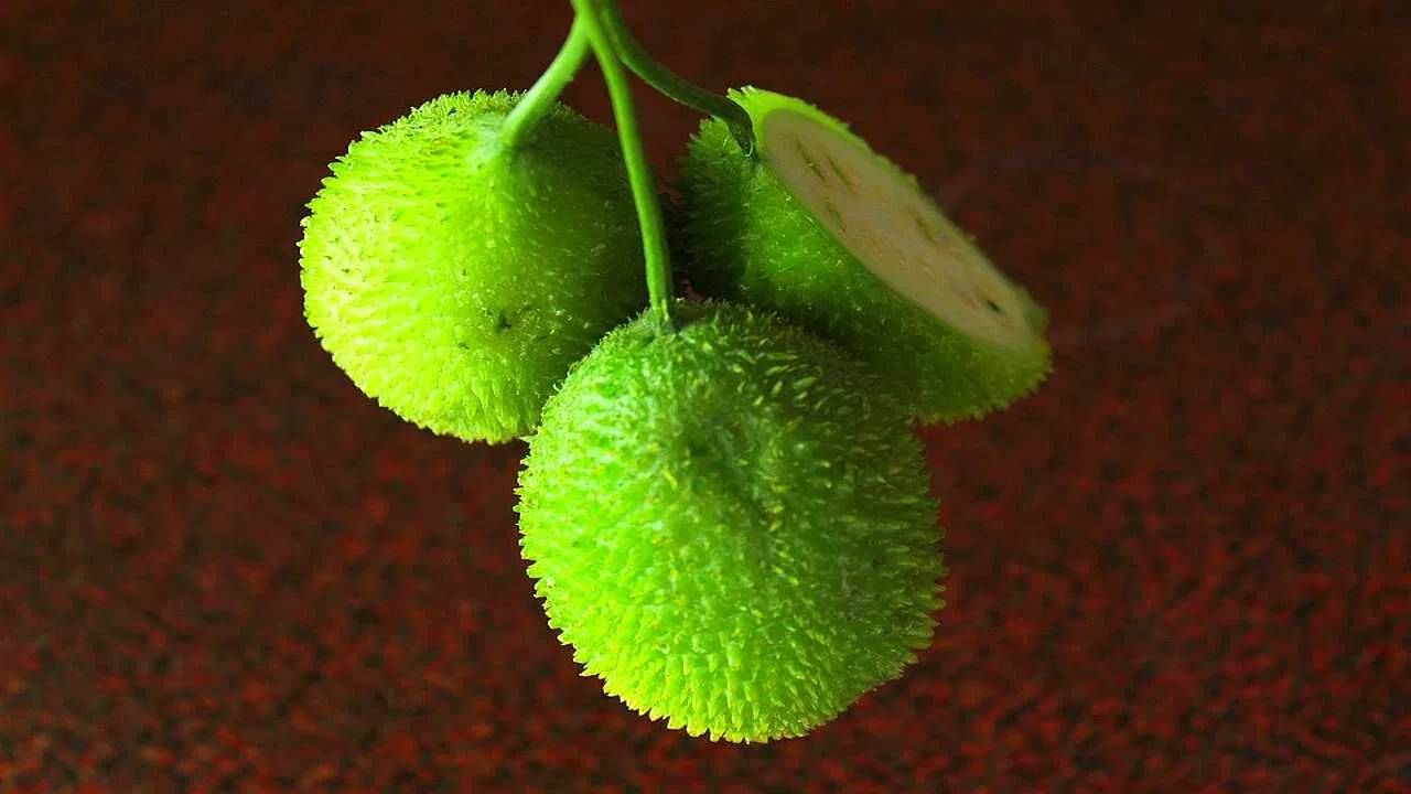 कंटुर्लीचा सर्वात मोठा फायदा म्हणजे ती पचनसंस्था सुधारते. यात आढळणाऱ्या फायबरमुळे मल मऊ होते आणि बद्धकोष्ठतेच्या समस्येत आराम मिळतो. तसेच, ही भाजी शरीरातील अनावश्यक टाकाऊ पदार्थ बाहेर काढण्यासही मदत करते.