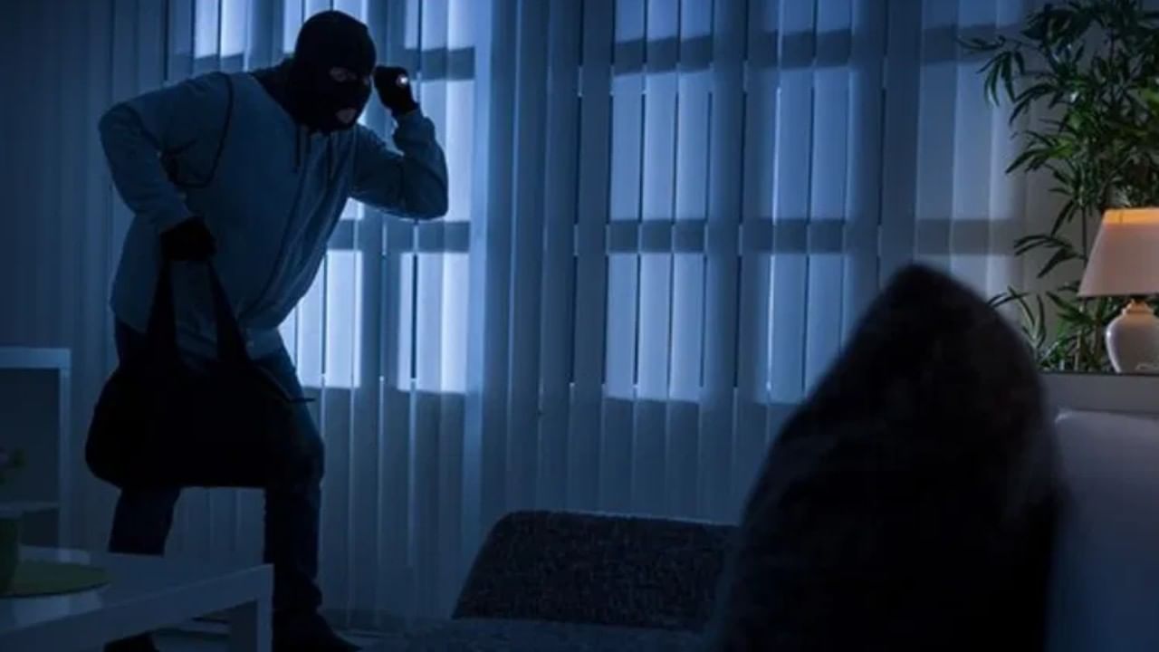 जुगाराचा नाद, 23 लाख गमावले, आयटी कंपनीतला तरुण साहेब बनला अट्टल चोर; नेमकं काय घडलं?