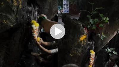 Video: पिंपळाच्या झाडातून अचानक वाहू लागले धोधो पाणी, चमत्कार समजून लोकांची झुंबड; काय आहे सत्य?