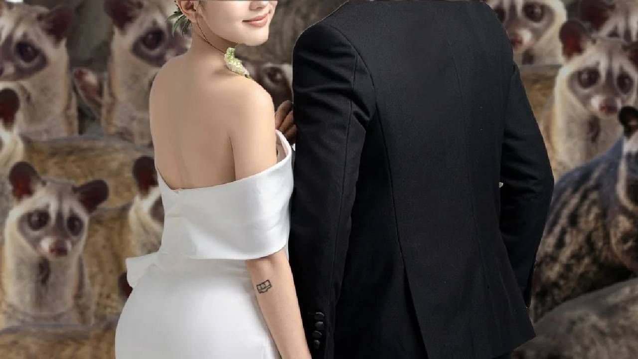 बापाने लेकीला हुंडा म्हणून दिल्या 100 मांजरी, ‘या’ देशातील अनोखं लग्न चर्चेत