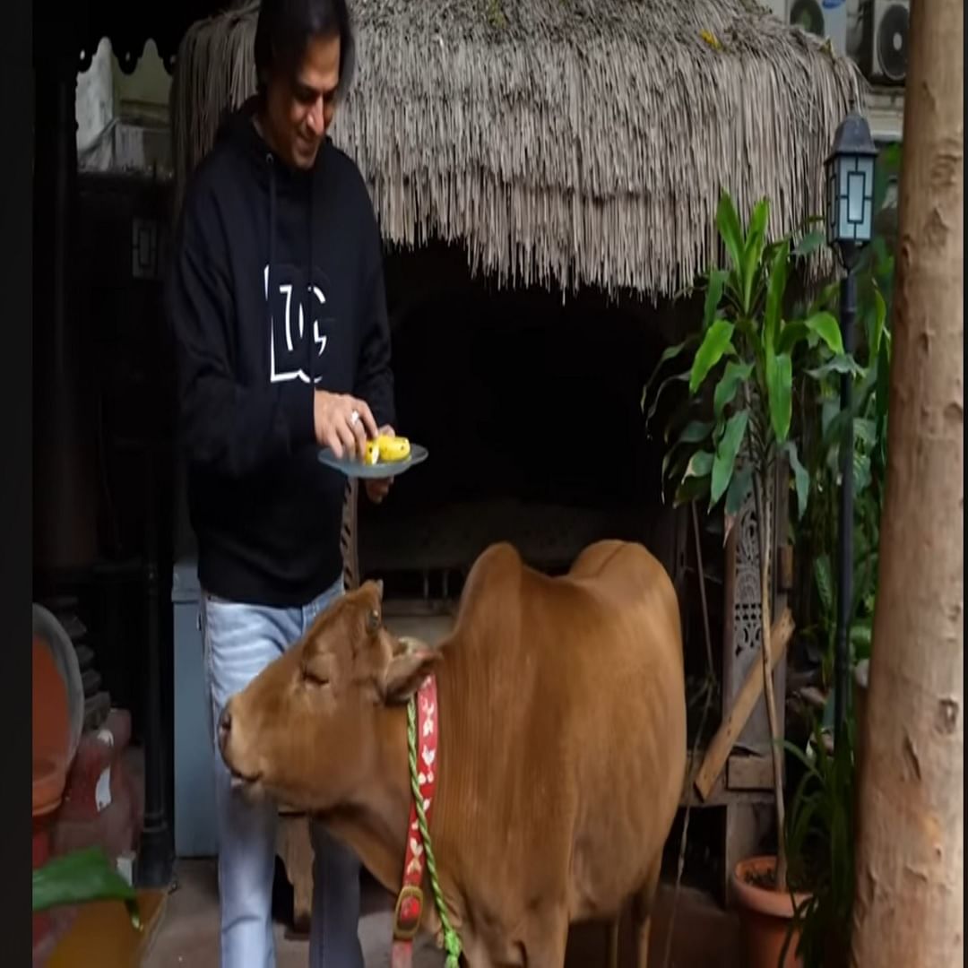 घराबाहेर एक गाय बांधलेली आहे. विवेकने व्हिडिओमध्ये प्रथम त्याची गाय कामधेनू दाखवली आणि सांगितले की त्यामुळे घरात गावासारखे वातावरण निर्माण होते. तो म्हणाला की "हे घर माझ्यापेक्षा तिचे जास्त आहे. गोठ्याचा सुगंध शहरातही लहान गावात राहिल्यासारखे वाटते."