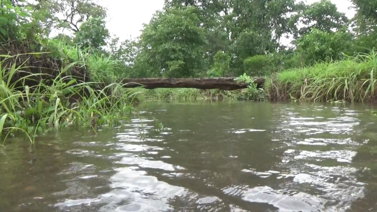 पावसाळ्यात नाला दुथडी भरून वाहू लागल्यास मुलांना शाळेत जाणे शक्य होत नाही. यश खरपडे नावाच्या एका पाच वर्षांच्या अंगणवाडीतील मुलाने आपली व्यथा मांडली "आम्हाला लाकडी पुलावरून यावं लागतं. पूल बुडला की आम्ही घरीच राहतो. तीन-तीन दिवस शाळेत जाता येत नाही, असे यशने म्हटले.