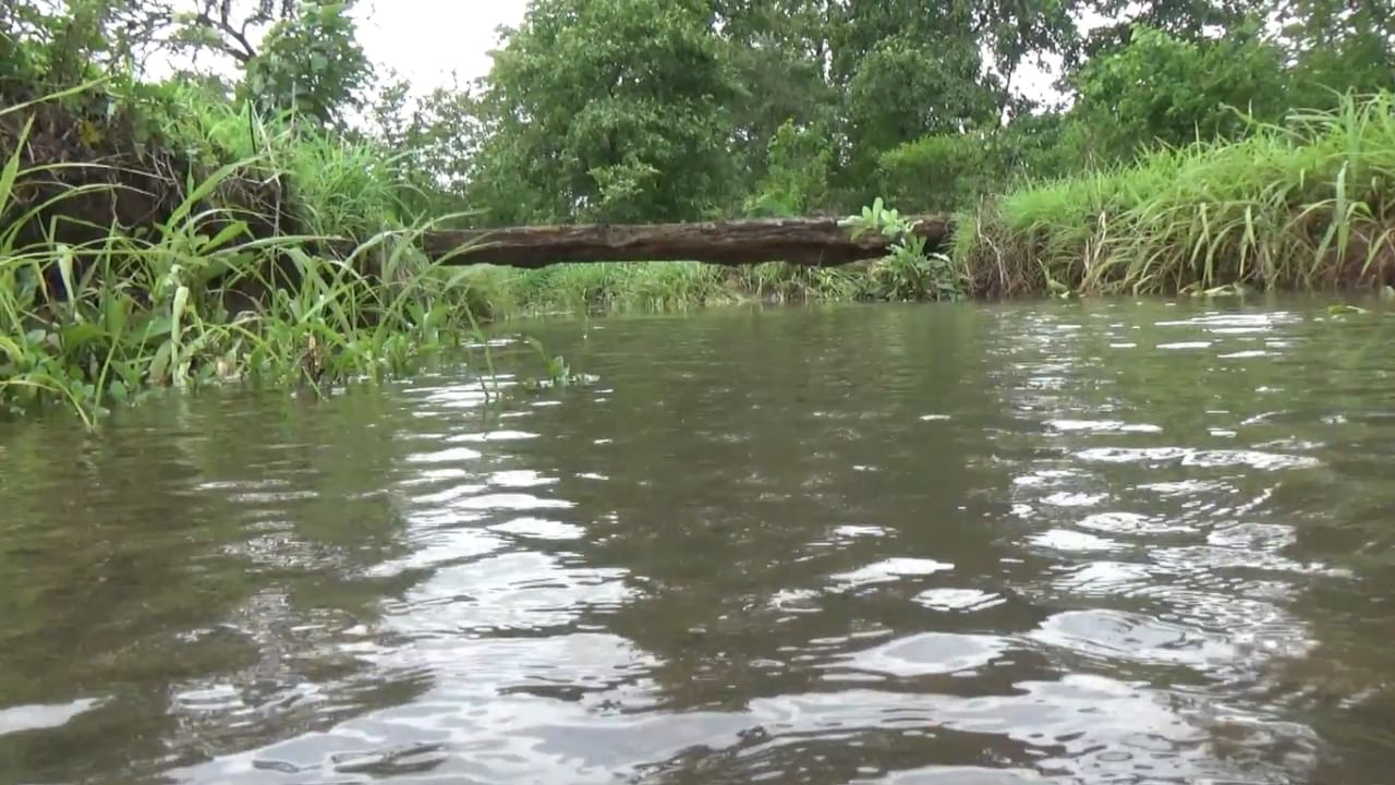विद्यार्थी, पालक आणि महिलांनी याबद्दल आपली तीव्र नाराजी व्यक्त केली आहे. अनेक वर्षांपासून गावकरी आमदार, पंचायत समिती आणि तहसीलदारांकडे या नाल्यावर पूल बांधण्याची मागणी करत आहेत, पण आमची समस्या कोणीच सोडवत नाही," असे त्यांनी सांगितले.